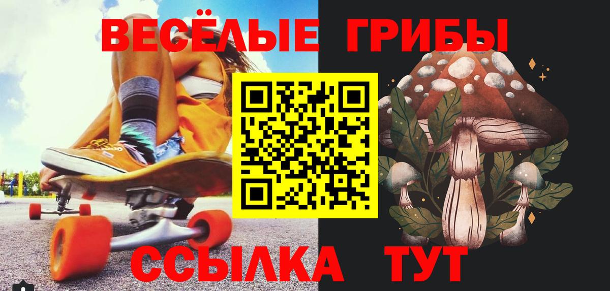 Сатка  Псилоцибиновые грибы прущие грибы  Галлюциногенные грибы Psilocybine cubensis  Вход с VPN 