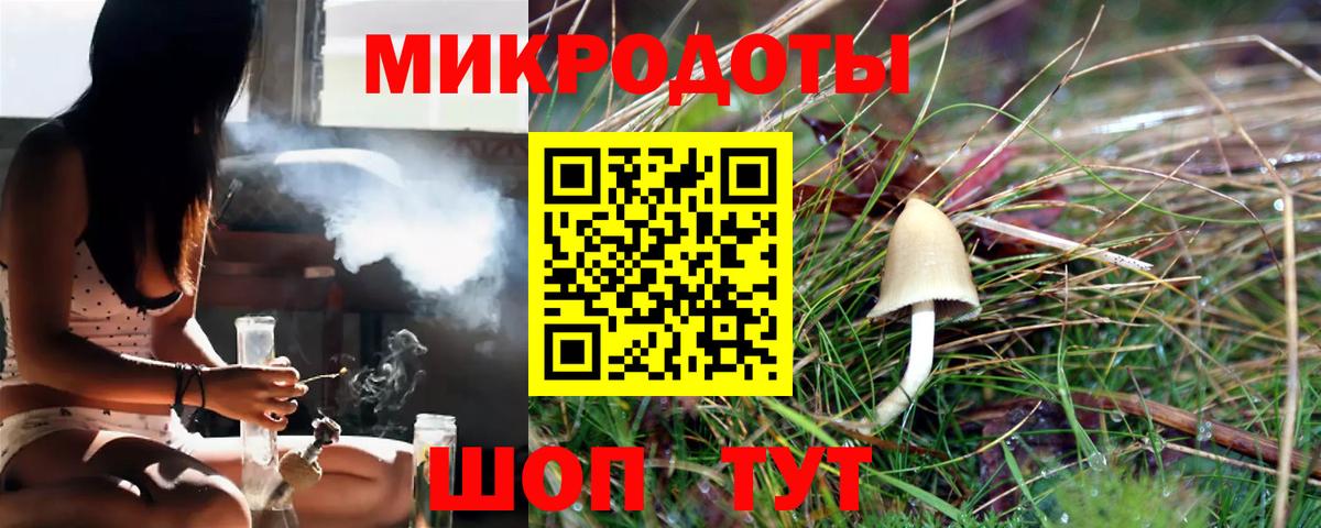 Псилоцибиновые грибы Psilocybe Сатка